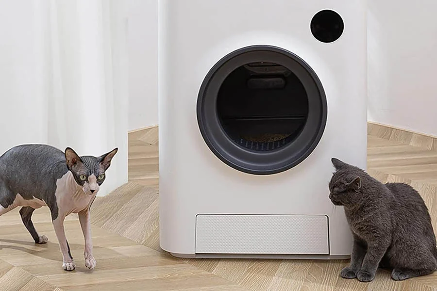 best cat litter box for odor